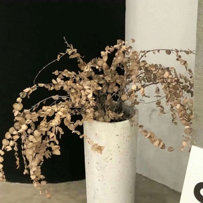 兽设动态姿势绘画参考FurryQQ群